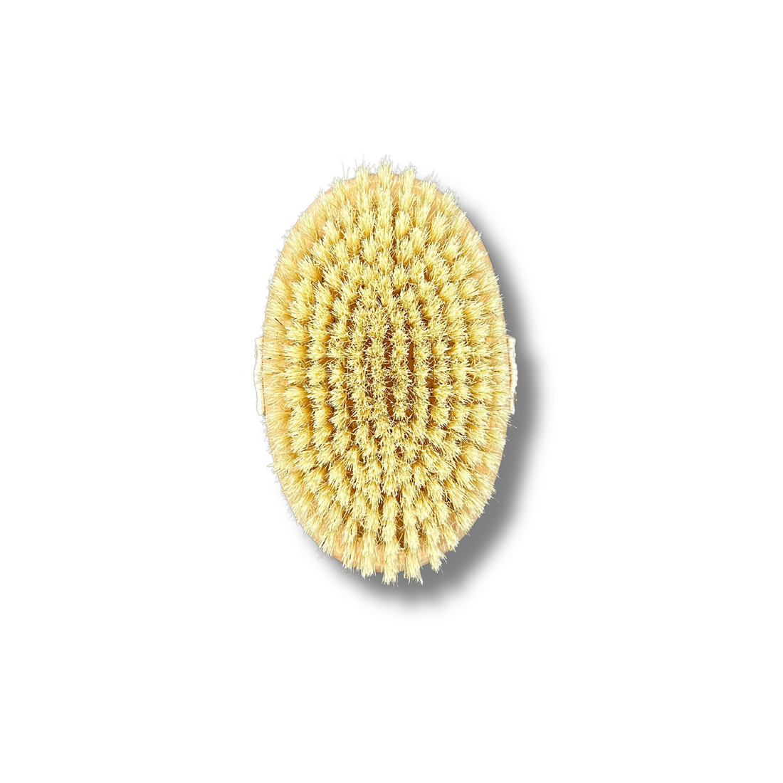 Dry Body Brush